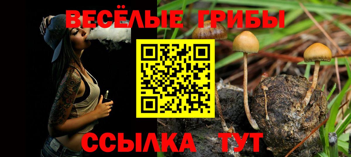 Псилоцибиновые грибы мухоморы  Губкинский  Галлюциногенные грибы Magic Shrooms 